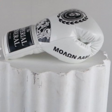 Load image into Gallery viewer, Ancient Greek Boxing Gloves

