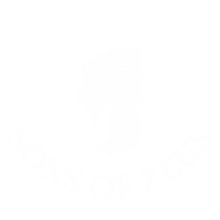 Load image into Gallery viewer, Sons of Zeus Black short sleeve T
