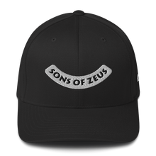 Load image into Gallery viewer, Sons Of Zeus Hat

